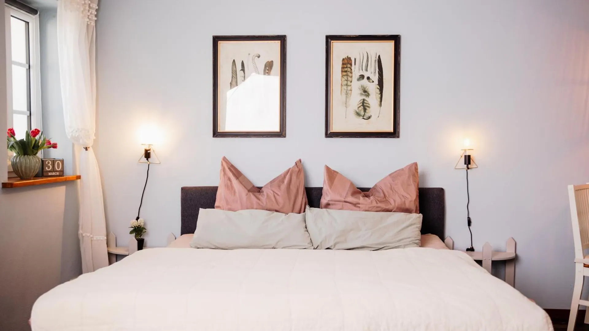 Apartment Pension Adele - Ruhig, Direkt Am Elberadweg & Badesee Mit Balkon Dresden Deutschland